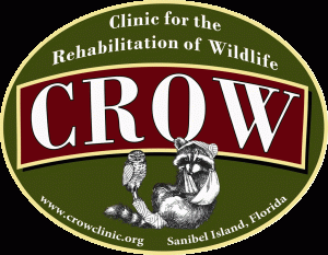 Clinic for the Rehabilitation of Wildlife